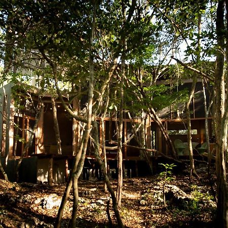 OJO DE ÁRBOL, boutique cabin in the jungle. Relax Tulum Exterior foto