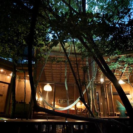 OJO DE ÁRBOL, boutique cabin in the jungle. Relax Tulum Exterior foto