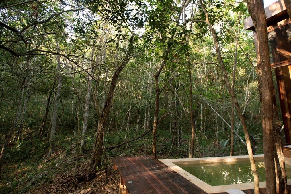 OJO DE ÁRBOL, boutique cabin in the jungle. Relax Tulum Exterior foto