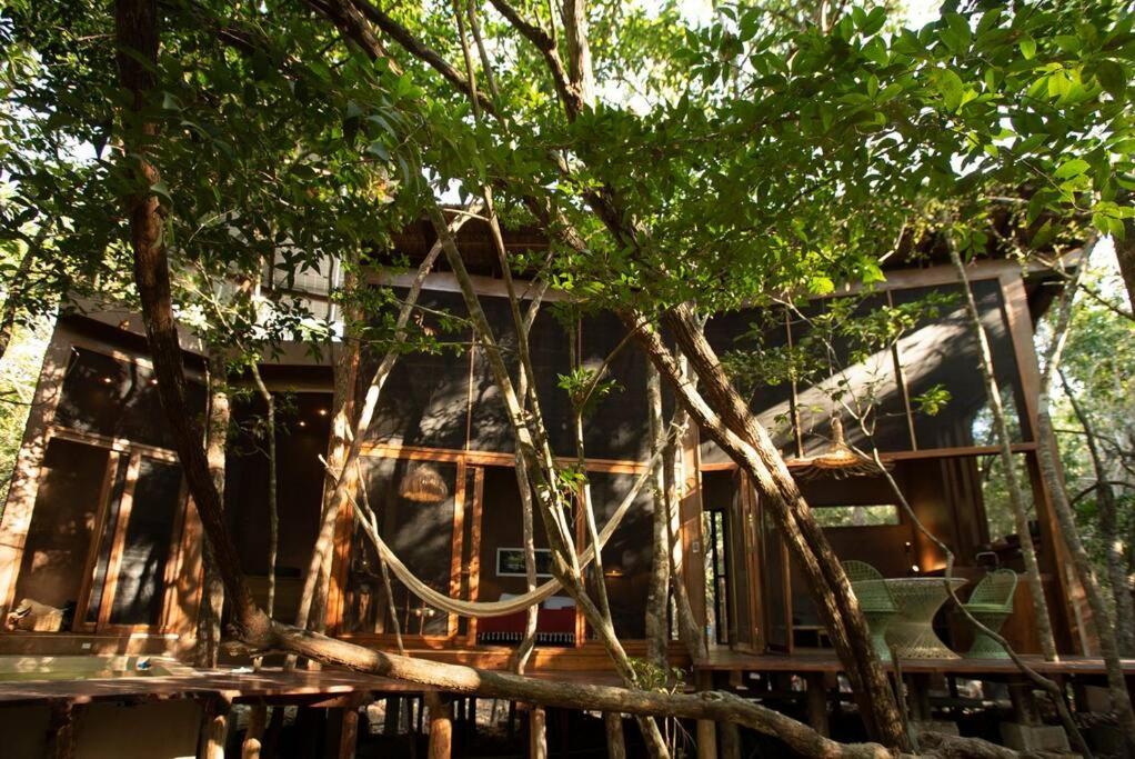 OJO DE ÁRBOL, boutique cabin in the jungle. Relax Tulum Exterior foto